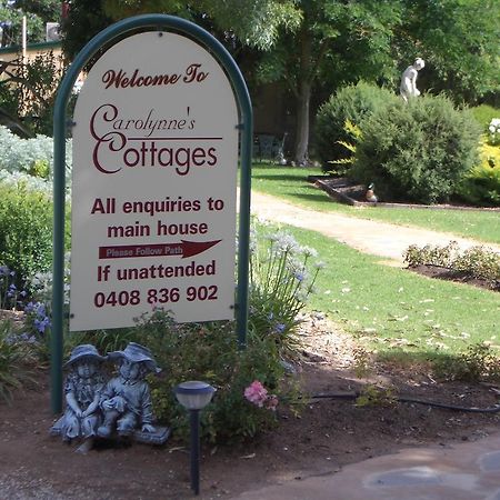Carolynnes Cottages Naracoorte Exteriör bild